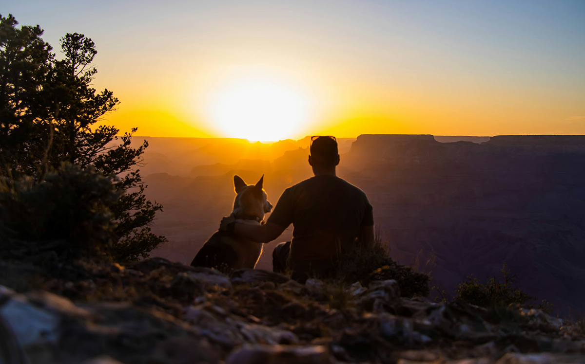 A man and a dog looking at the sunset, feeling the absence of their departed loved one.